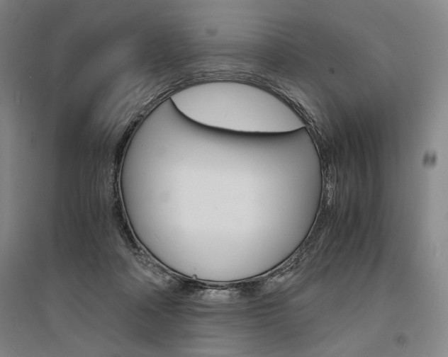 X0000095540314200712141029