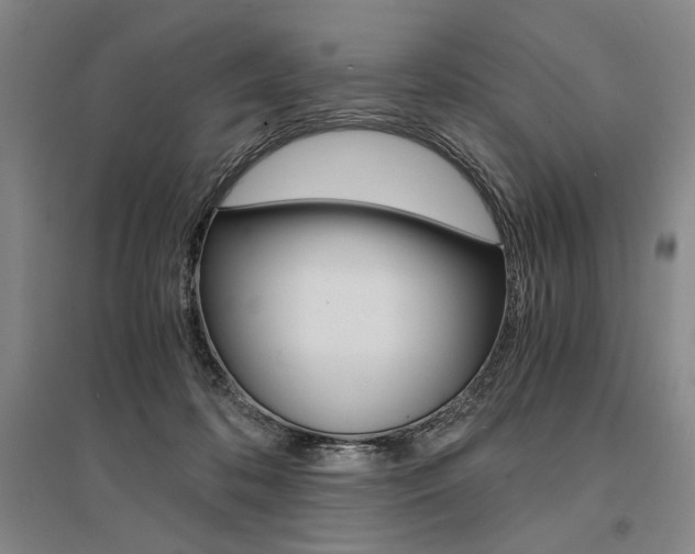 X0000095540316200712141029