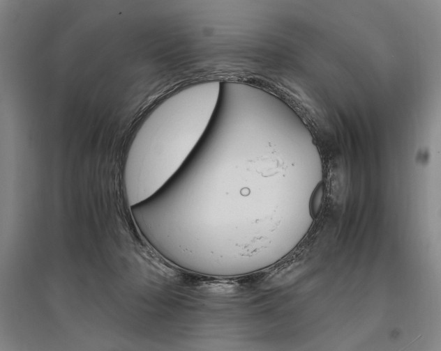 X0000095540318200712141029