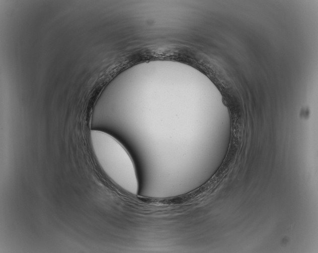 X0000095540319200712141029