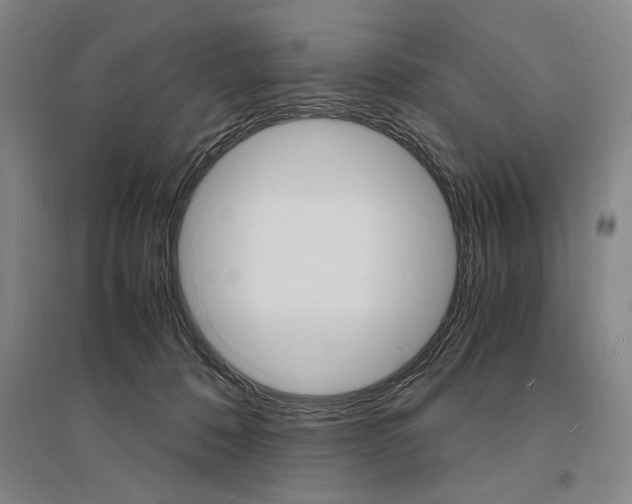 X0000095540320200712141029