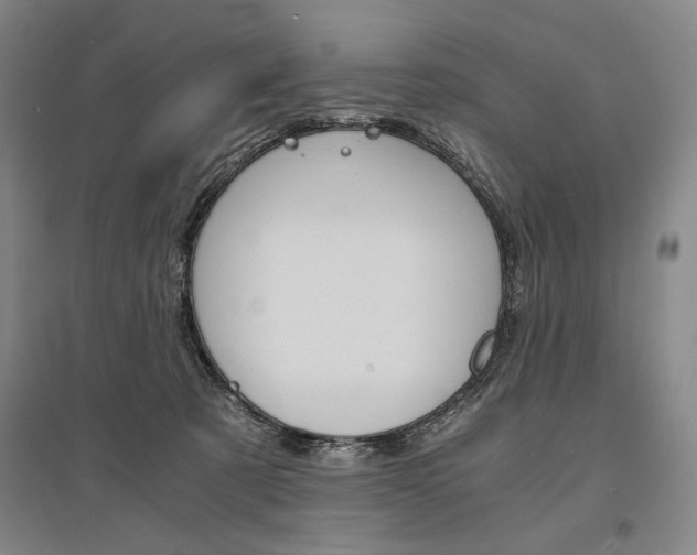 X0000095540321200712141029