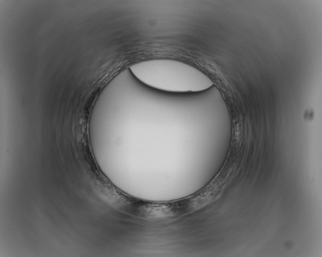 X0000095540322200712141029