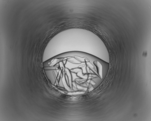 X0000095540323200712141029