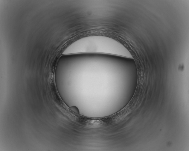 X0000095540324200712141029