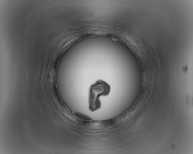 X0000095540325200712141029