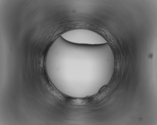 X0000095540326200712141029