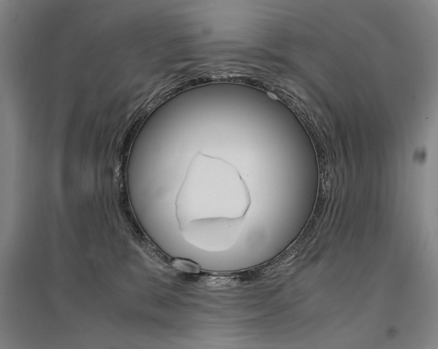 X0000095540327200712141029