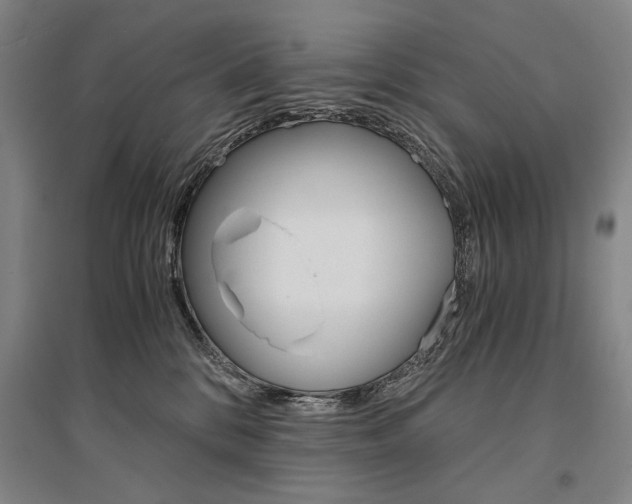 X0000095540328200712141029