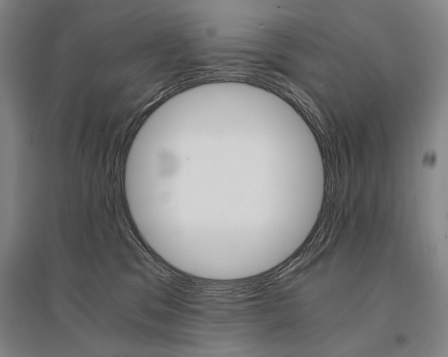 X0000095540329200712141029