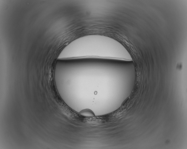 X0000095540331200712141029