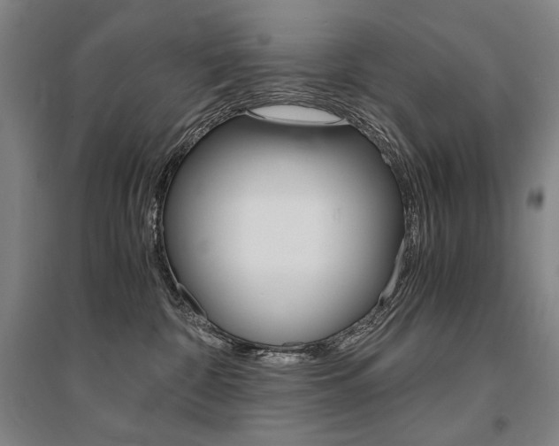 X0000095540332200712141029