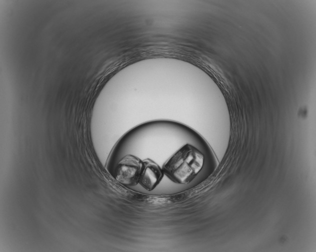 X0000095540333200712141029