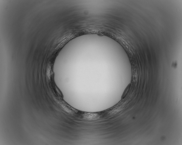 X0000095540334200712141029
