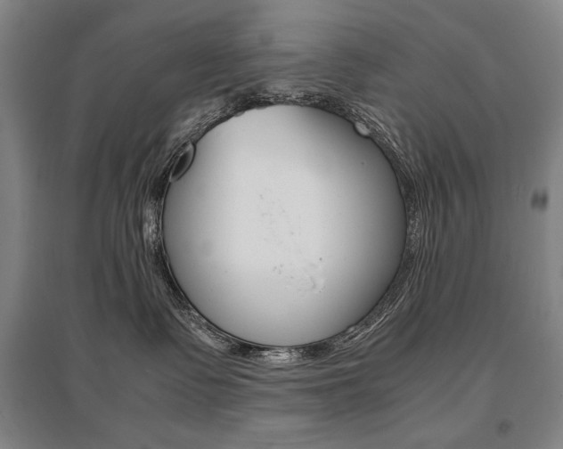 X0000095540335200712141029