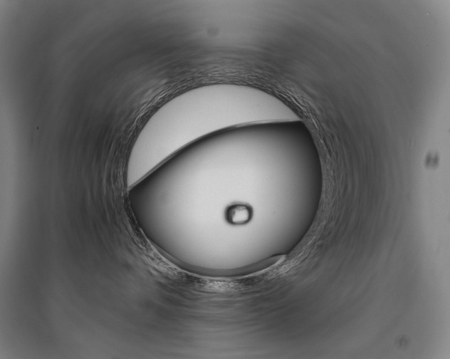 X0000095540336200712141029