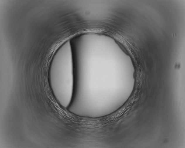 X0000095540337200712141028
