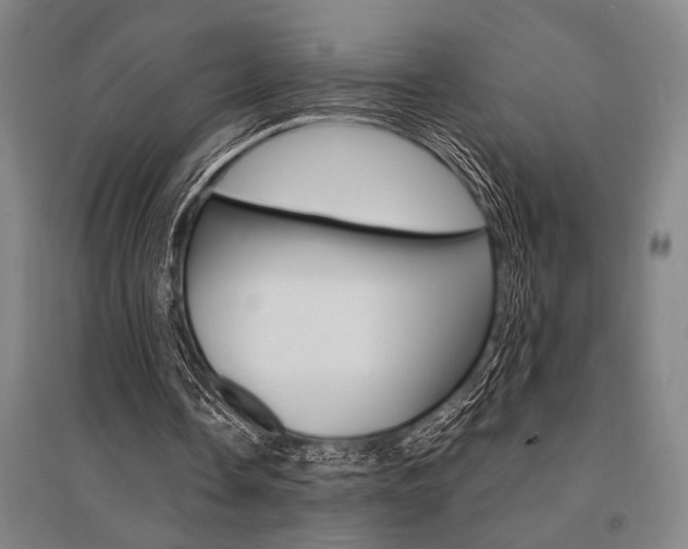 X0000095540338200712141028