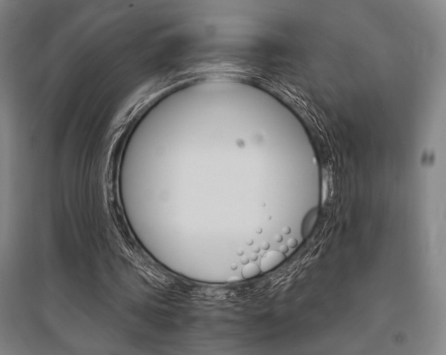 X0000095540339200712141028