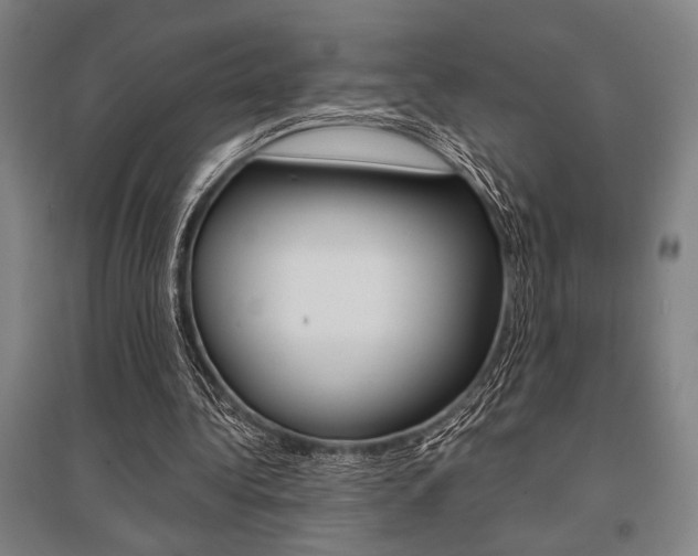 X0000095540340200712141028