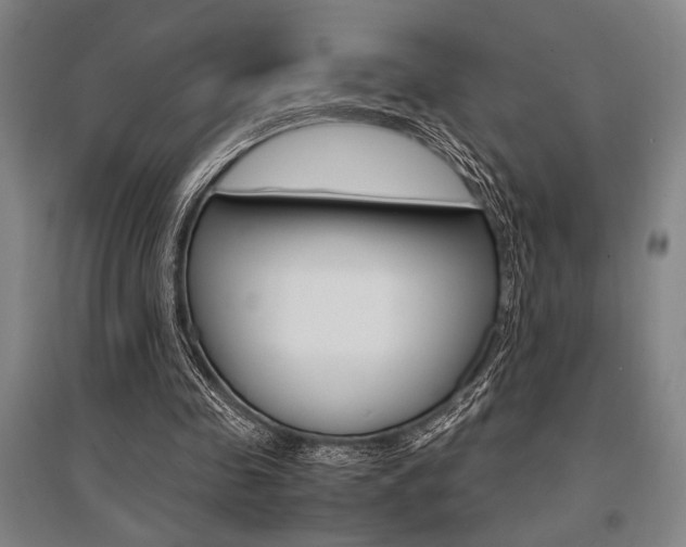 X0000095540341200712141028