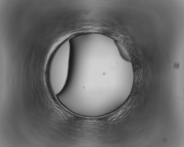 X0000095540342200712141028