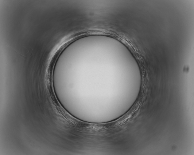 X0000095540343200712141028