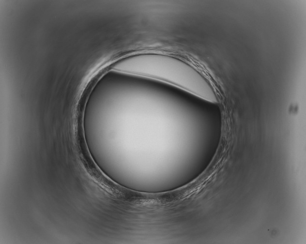 X0000095540344200712141028