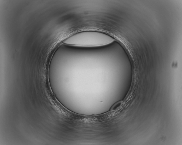 X0000095540345200712141028