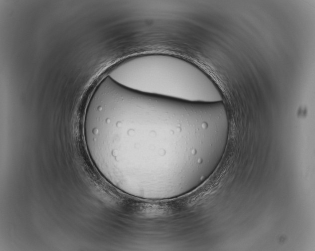 X0000095540347200712141028