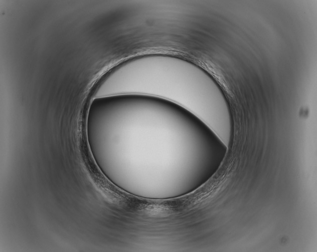 X0000095540348200712141028