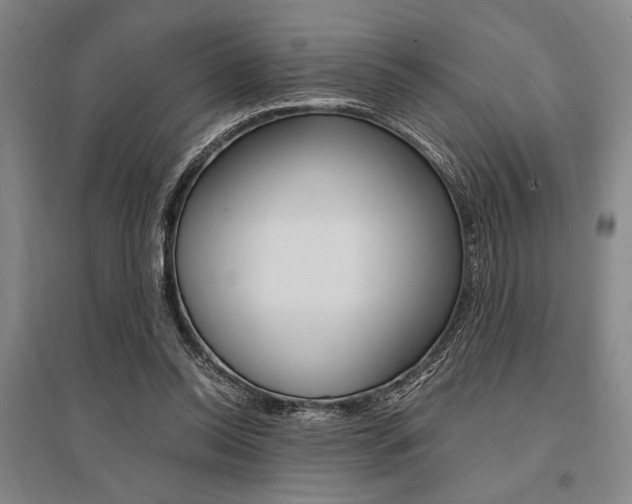 X0000095540350200712141028