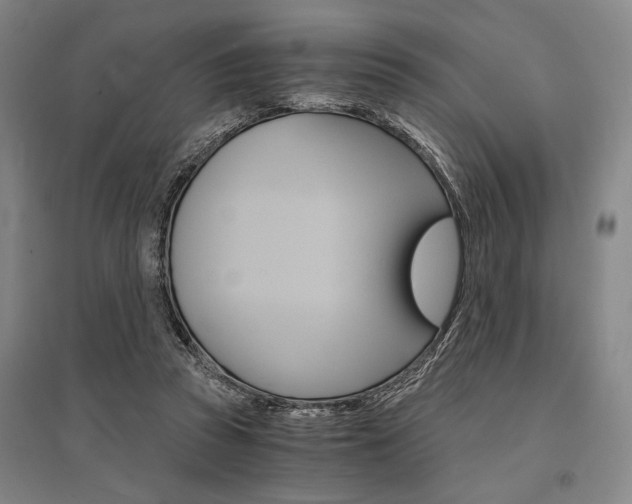 X0000095540353200712141029