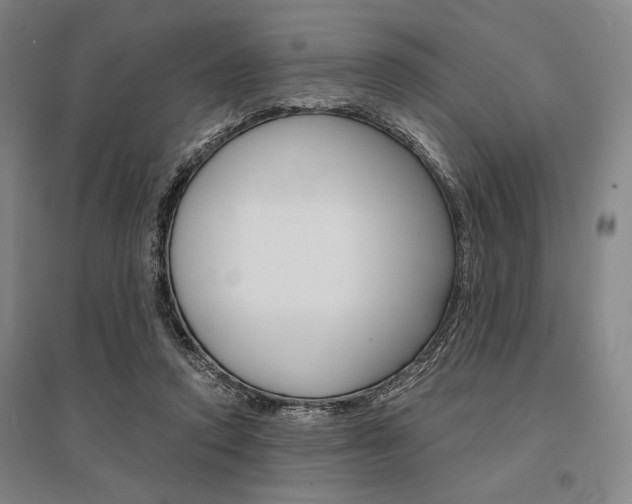 X0000095540354200712141029