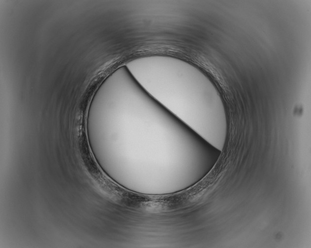 X0000095540356200712141029