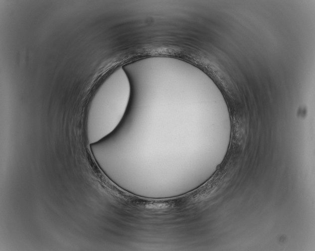 X0000095540357200712141029
