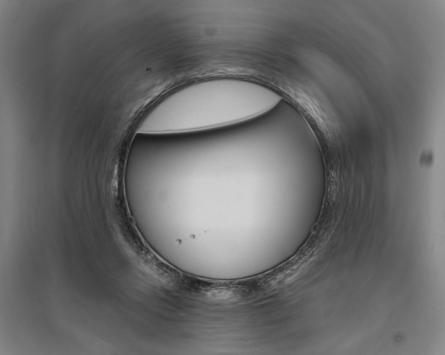 X0000095540358200712141029