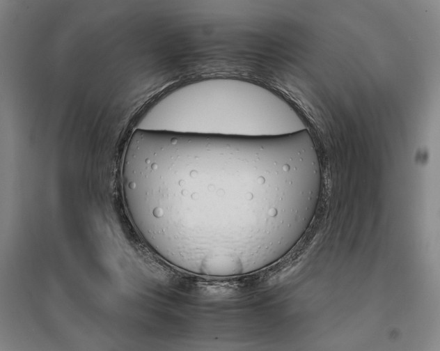 X0000095540359200712141029