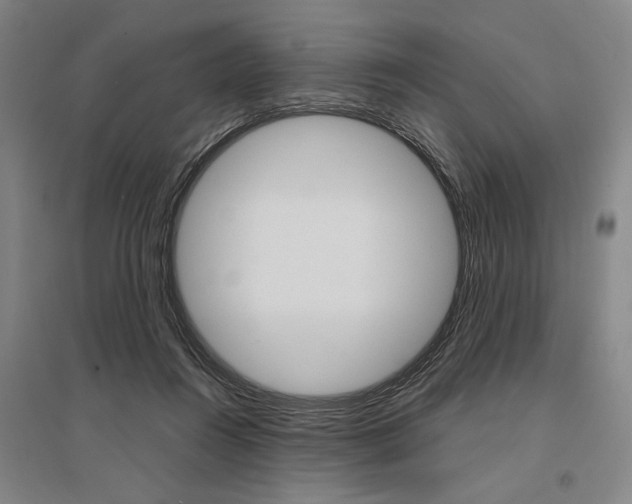 X0000095540360200712141029