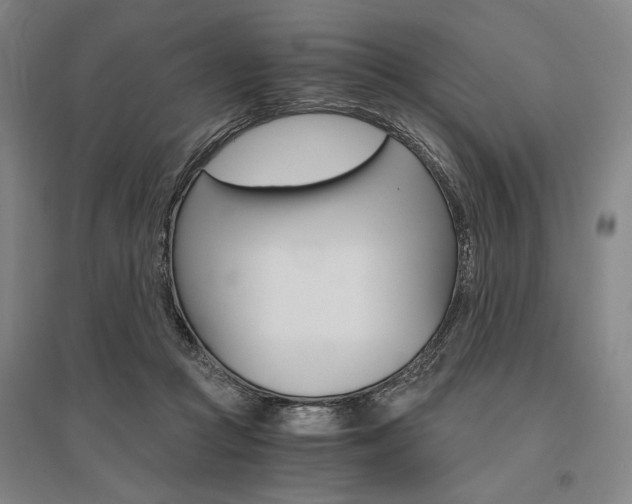 X0000095540361200712141029