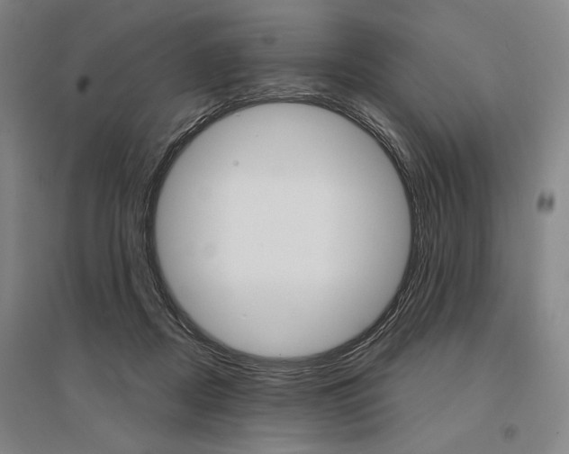 X0000095540362200712141029