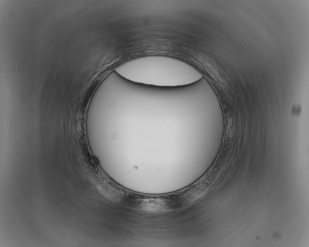X0000095540363200712141029