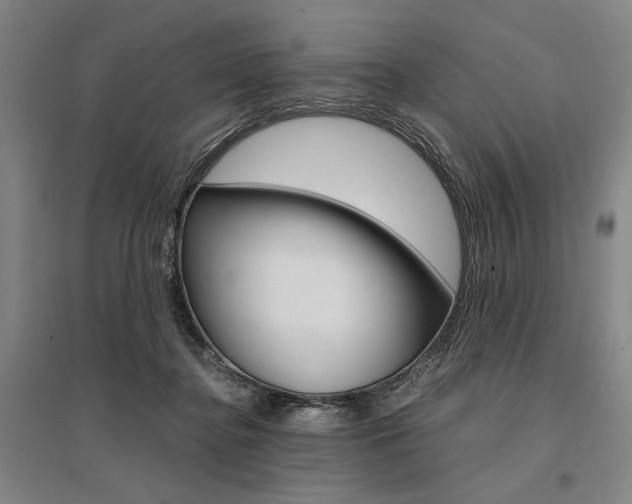 X0000095540364200712141029