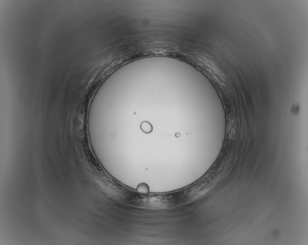 X0000095540365200712141029