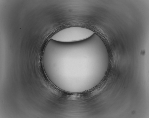X0000095540366200712141029