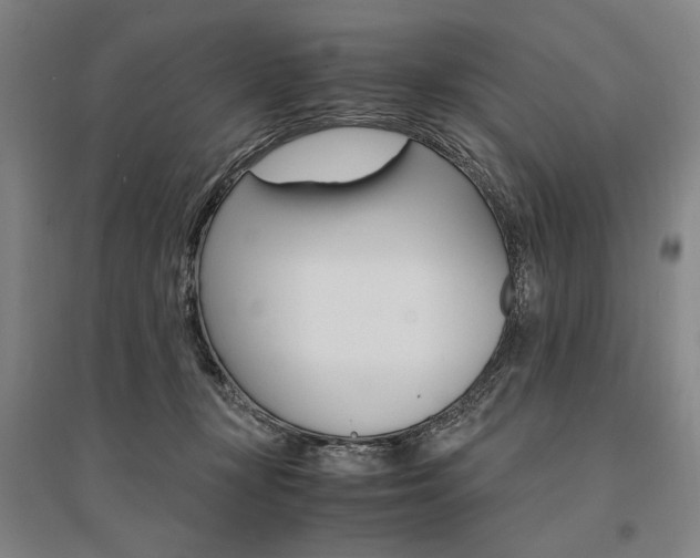 X0000095540367200712141029