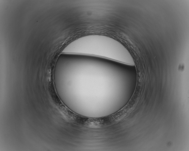 X0000095540368200712141029