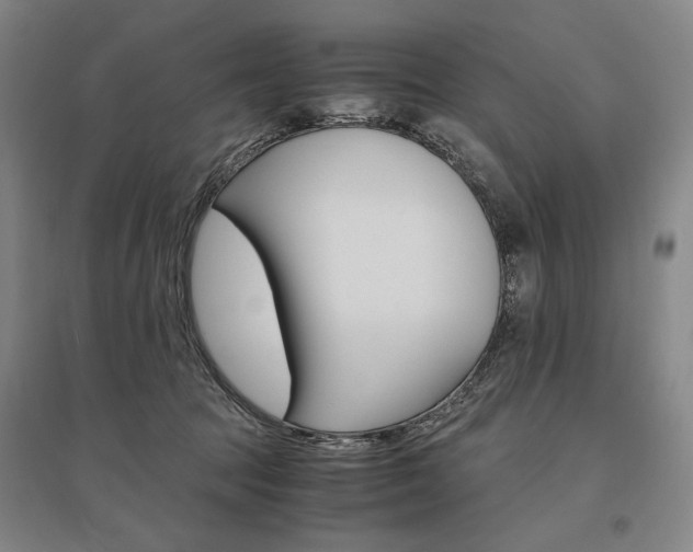 X0000095540369200712141029