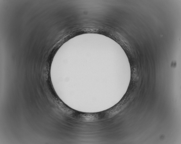 X0000095540370200712141029