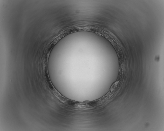 X0000095540372200712141029